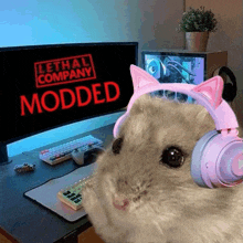 a hamster wearing pink cat ears headphones is sitting in front of a computer monitor .