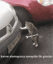 a cat with a wrench on its paw is standing next to a renault van