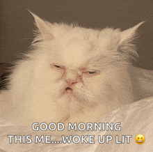 a white cat with its eyes closed and the words good morning this me woke up lit above it