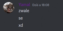 a screenshot of a chat with a cat and the name yamal