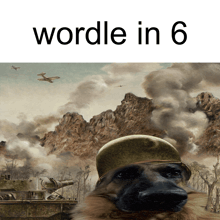 a picture of a german shepherd wearing a helmet with the words wordle in 6
