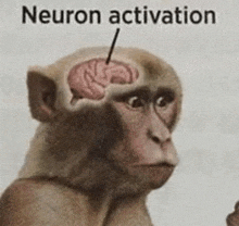 a monkey with a brain in its head and the words `` neuron activation '' written above it .