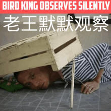 a man laying on the ground with a wooden crate on his head and the words bird king observes silently above him