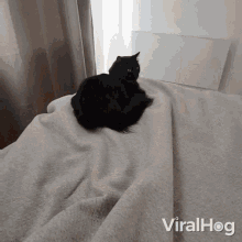 a black cat is laying on a white blanket with viralhog written on the bottom right