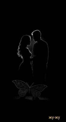 a silhouette of a man and a woman standing next to each other with a butterfly .