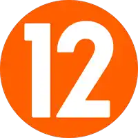 an orange circle with the number 12 in the center