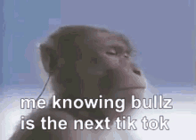 a monkey is wearing headphones and says `` me knowing bullz is the next tiktok '' .