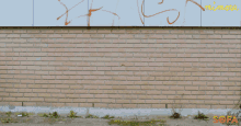 a woman in a yellow jacket is running in front of a brick wall that has graffiti on it including the word sofa