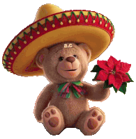 a teddy bear wearing a sombrero is holding a poinsettia flower