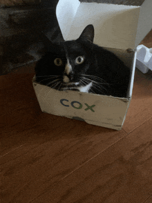 a black and white cat is laying in a cardboard box that says cox