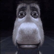 a close up of a donkey 's face with a black background