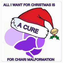 a purple flower with a santa hat that says `` all i want for christmas is a cure for chiari malformation ''