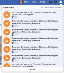 a screenshot of a facebook page showing the notifications section