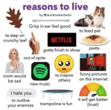 a list of reasons to live including a trampoline is fun