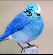 a blue and white bird with a face painted on it 's head