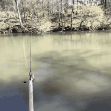 a fishing rod is sitting in the water near a river