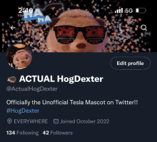 a twitter account for actual hog dexter shows a picture of a stuffed animal wearing sunglasses