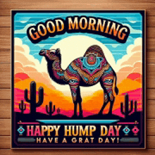 a poster that says good morning happy hump day have a great day