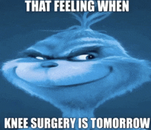 a picture of a grinch with the caption that feeling when knee surgery is tomorrow