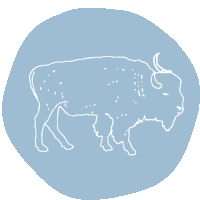 a drawing of a bison with horns on a blue background