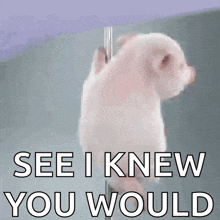a picture of a pig with the words see i knew you would