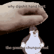 why dipshit hand hurt the gaming chungus real written on a pixelated image