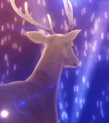 a white deer with antlers is standing in front of a purple background