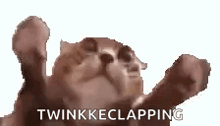 a cat is laying on its back with its paws in the air and a caption that says twinkkeclapping .