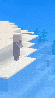 a minecraft character is standing on a ledge overlooking the water