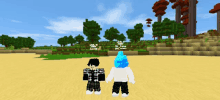 two minecraft characters standing on a sandy beach