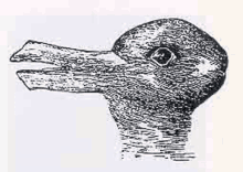 a black and white drawing of a duck with a long beak