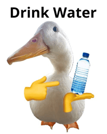 a duck pointing at a bottle of water with the words drink water below it
