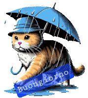 a cat wearing a hat and holding a blue umbrella with the words buongiorno below it