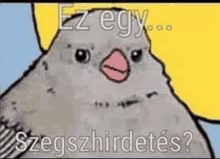 a cartoon of a bird wearing a yellow hat with the words `` ez egy ... szegszhiretes ? ''