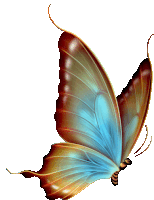 a butterfly with blue and brown wings is flying in the air