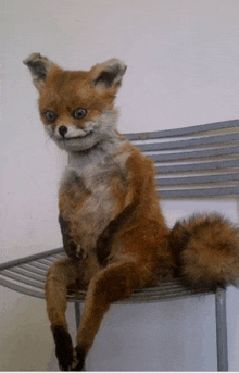 a stuffed fox is sitting on a metal shelf and looking at the camera