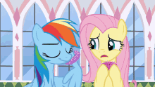 rainbow dash and fluttershy from my little pony are looking at each other