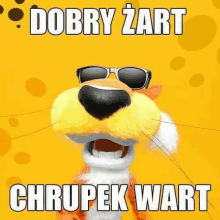 a stuffed animal wearing sunglasses and the words `` dobry żart chrupek wart '' on a yellow background .