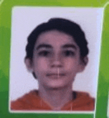 a close up of a young boy 's face in a green frame on a green background .