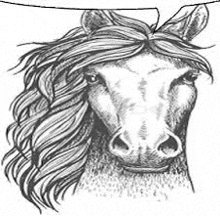 a black and white drawing of a horse 's head with long hair .