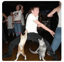 a man is dancing with two cats on his legs .