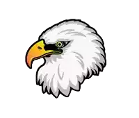 a bald eagle 's head with a yellow beak is shown on a white background