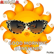 a cartoon sun wearing sunglasses with the words good morning sunshine written on it