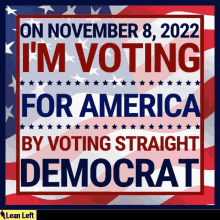 a poster that says " on november 8 2022 i 'm voting for america by voting straight democrat "