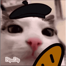 a close up of a cat wearing a black beret with the words flipa clip below it