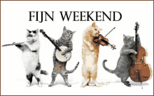 a group of cats playing musical instruments with the words fijn weekend above them