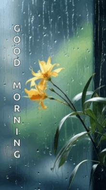 a picture of a flower with the words good morning written below it
