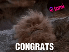 a picture of a furry monster with its mouth open and the words congrats written below it
