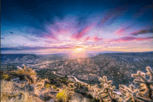 a sunset over a desert landscape with a few cactus in the foreground