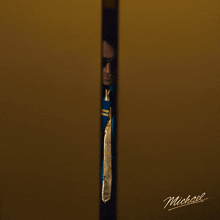 a man wearing sunglasses and a blue jacket with the name michael on the bottom right